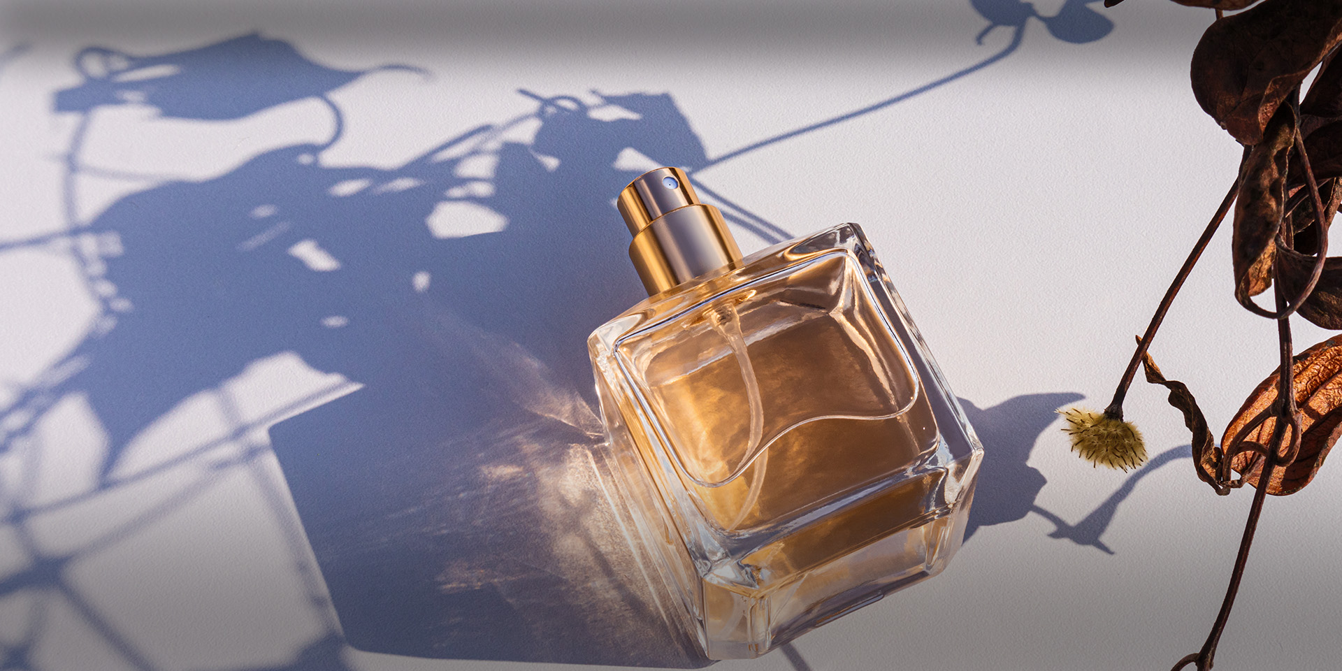 Compañía Industrial Hexuanshu de Shanghái, LTD