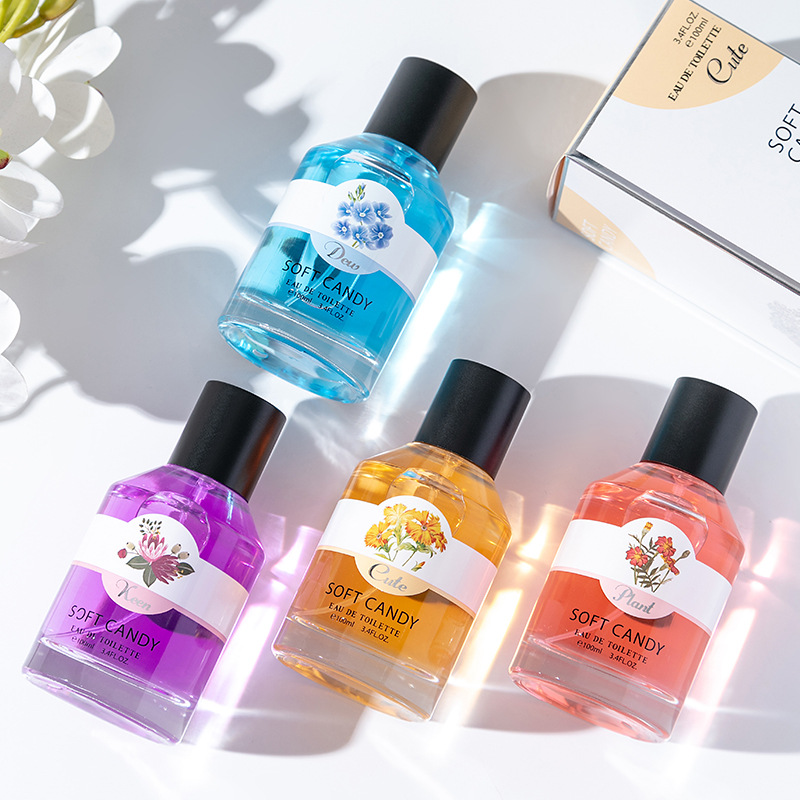 Logotipo de perfume de 100 ml Crea tu propia marca Colección inteligente Perfumes Perfume original para mujer